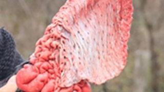 Yılbaşının olmazsa olmazı şimdiden yoğun talep görüyor! Kilosu 50 liradan satılıyor