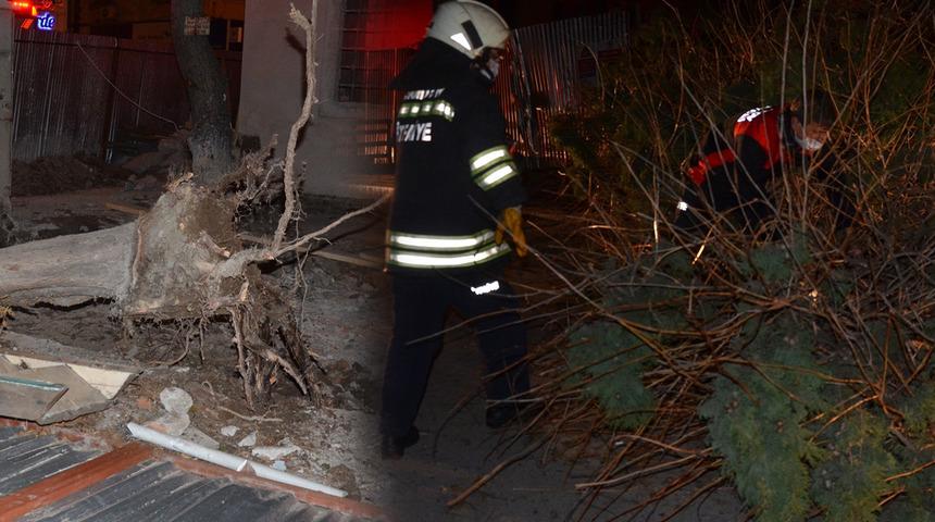 Korkunç olay! Yolda yürürken ağacın altında kaldı