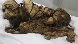 Peru'da 800 yaşındaki kadın mumya mezar odasından çıkarıldı! İplerle bağlı eliyle yüzünü elleriyle kapatıyor