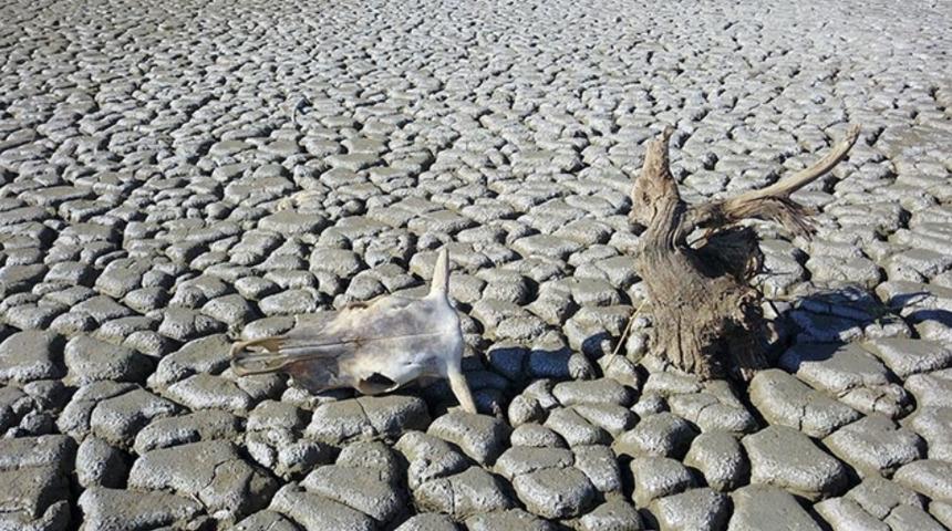 Dünyanın "karakutusu!'' Her gelişmeyi kaydedecek