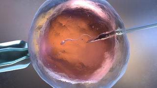 Tüp bebek tedavisi kimler için uygundur?