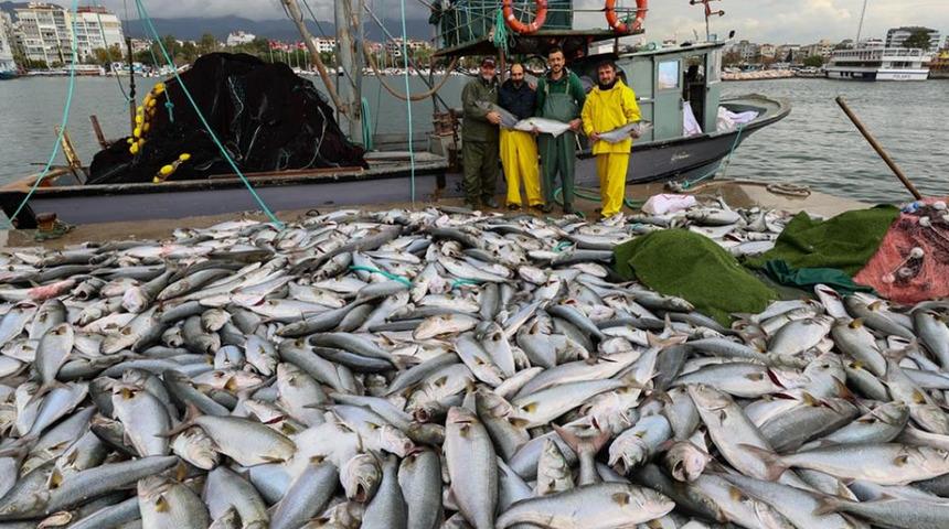 S&uuml;r&uuml;kleye s&uuml;r&uuml;kleye getirdiler! Yakaladıkları balıklar tekneye sığmadı