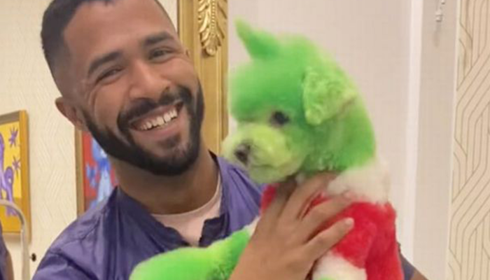 Köpek stilisti Gabriel Feitosa’nın Noel için bir köpeğin imajını değiştirmesi sosyal medyada tepki çekti