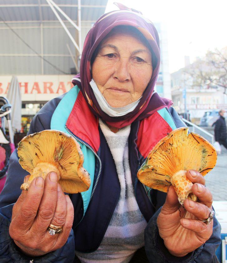Fiyatını öğrenen ormana koştu! Poşet poşet topluyorlar G1