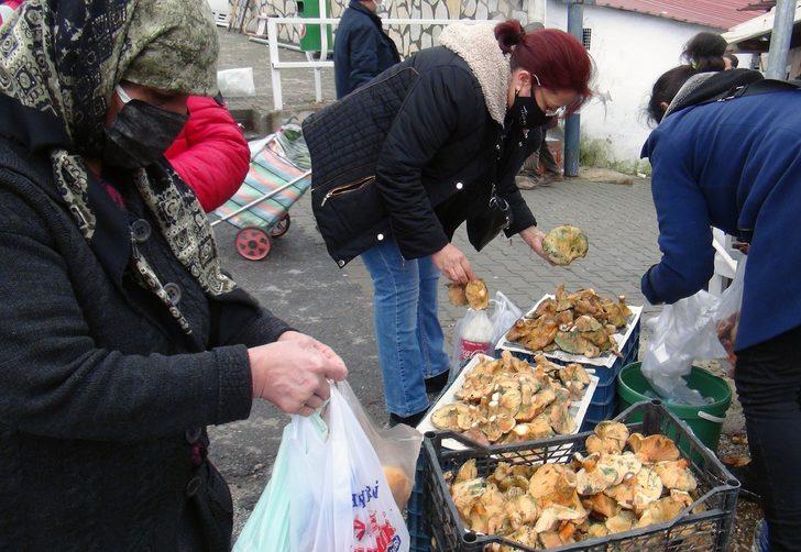Fiyatını öğrenen ormana koştu! Poşet poşet topluyorlar G2
