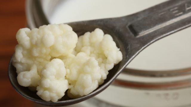 Markete kadar gitmenize gerek yok! Faydaları saymakla bitmeyen kefiri evde kolayca mayalayabilirsiniz