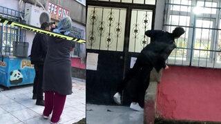 Sultangazi'de dehşet! Kocasını ve oğlunu bıçakladı