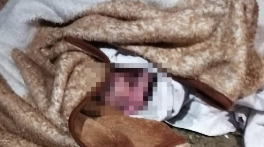 Yeni doğmuş bebeği bah&ccedil;eye bırakmışlardı! İlgin&ccedil; İddia: Arabayla keşif yapmış olabilirler 