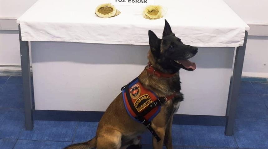 Muğla'da uyuşturucu operasyonunda 7 şüpheli yakalandı