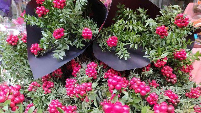 Ev sahibi yaptığına inanılan kokina (yılbaşı çiçeği) satışları patladı! Çiçekçiye akın ediyorlar