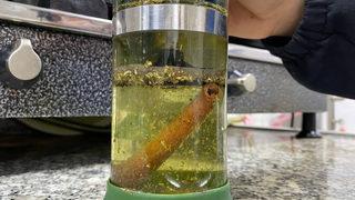 Bitki çayını hiç düşünmeden şifalı diye tüketiyoruz! Uzmanından ezber bozan açıklama