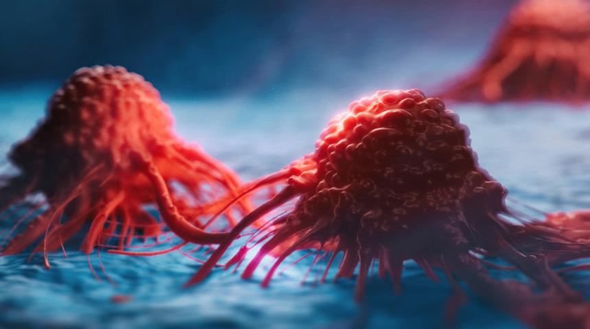 Kanser tedavisinde mavi akrep zehri gerçekten etkili mi? 'Küba'dan umut' olarak lanse ediliyor