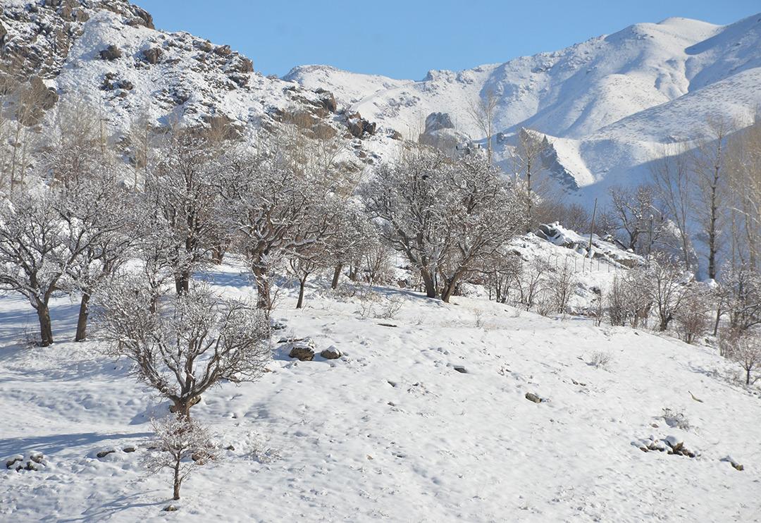 Dereler dondu! Sıcaklık eksi 21 dereceyi g&ouml;rd&uuml;