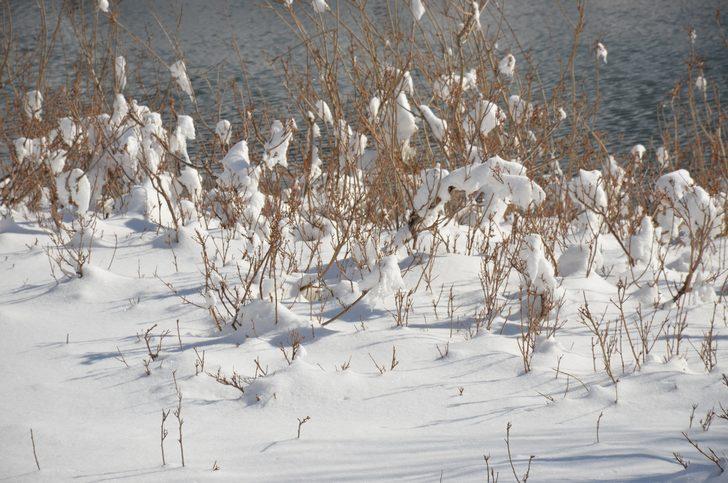 Dereler dondu! Sıcaklık eksi 21 dereceyi gördü G2