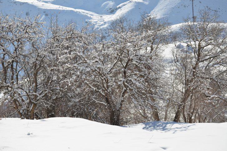 Dereler dondu! Sıcaklık eksi 21 dereceyi gördü G5