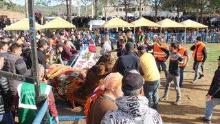 Korku dolu anlar! Develer arenaya sığmadı, ortalık savaş alanına döndü