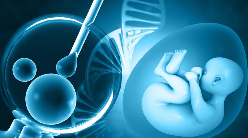 Tüp bebek tedavisi öncesi yaptırılması gereken testler nelerdir?