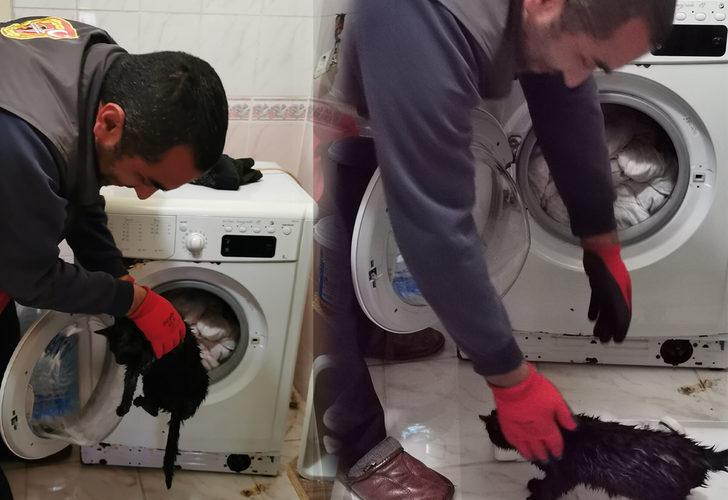 Yorganın arasındaki kediyi fark etmeden çamaşırlarla makinede yıkadı! 