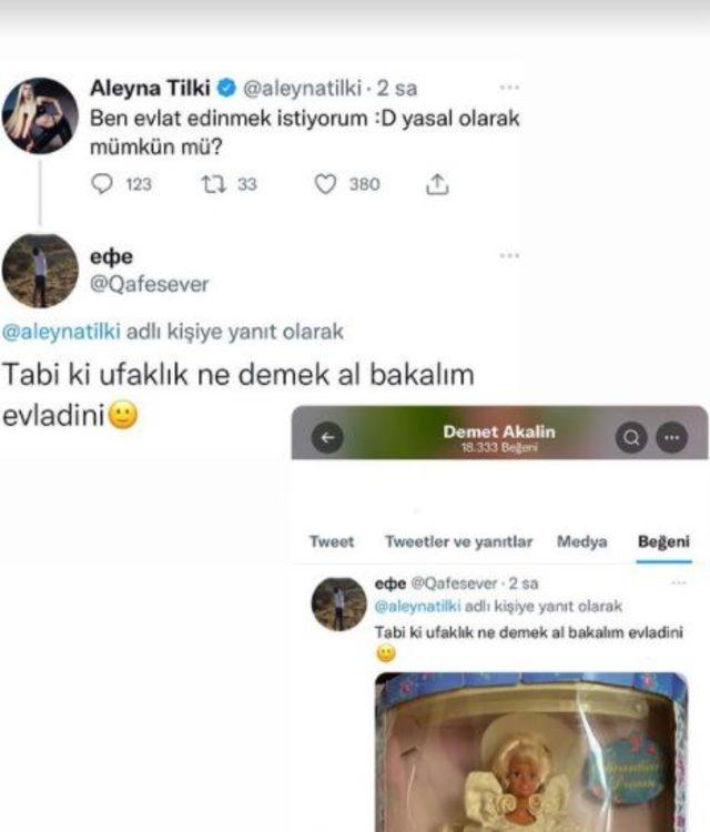 Ekran Alıntısı