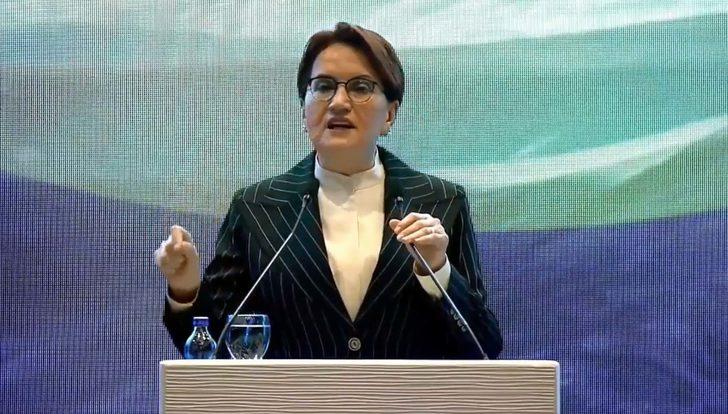 Meral Akşener'den merak edilen toplanan toplanan Doğu Türkistan'dan