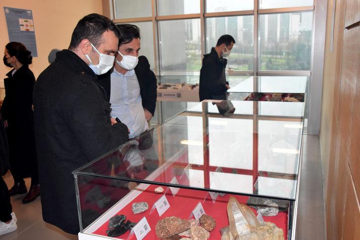 Fillerin atası Tekirdağ'dan çıktı! Görenler önce fotoğrafladı, ardından incelemeye başladı G2