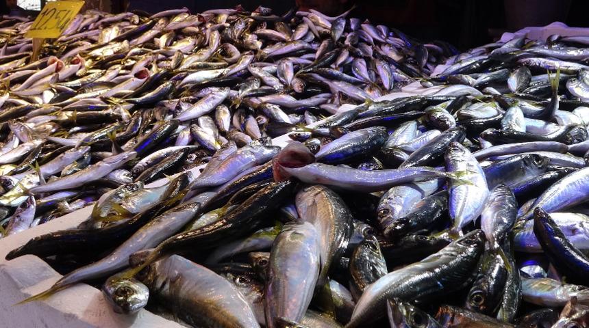 Hamside rekor fiyat, işleri zora soktu! Umutlar Gürcistan'a kaldı