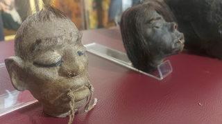 İzmir'de 365 parça tarihi eser ele geçirildi! Kesik insan başları şoke etti