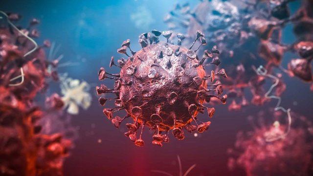 DSÖ'den korkutan Omicron varyantı açıklaması: Daha önce hiç görmediğimiz bir...