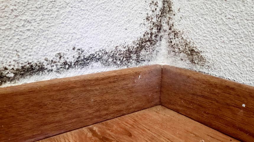 Süpürgelik temizliğinde bildiğiniz her şeyi unutun! Tertemiz süpürgelikler için dip köşe temizlik tüyoları