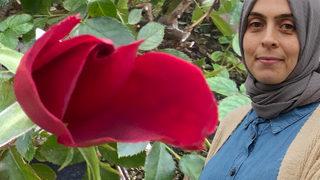 12 ay üretiyor, talebe yetişemiyor! 12 tanesi 200 liradan satılıyor