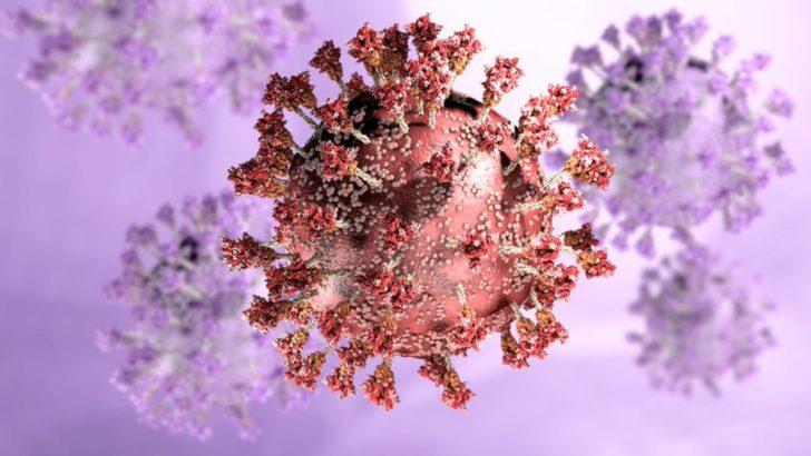 Omicron varyantı nasıl ortaya çıktı, koronavirüsle mücadelede önemi ne?