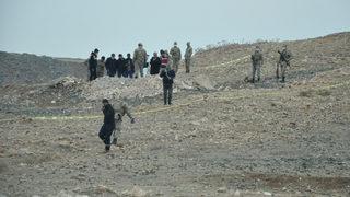 Esrarengiz olayı köpekler ortaya çıkardı! Ekipler harekete geçti