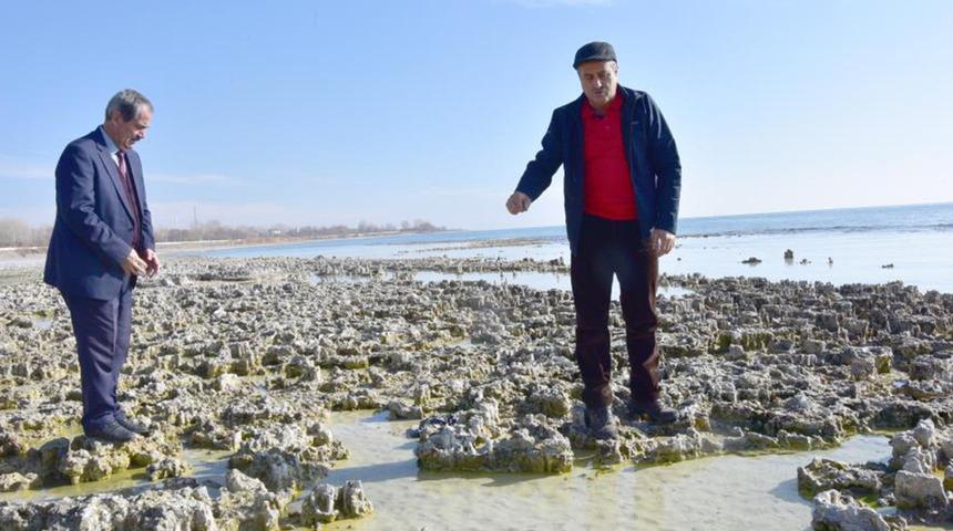 Van Gölü'nde sular çekildi, yeni mikrobiyalitler ortaya çıktı