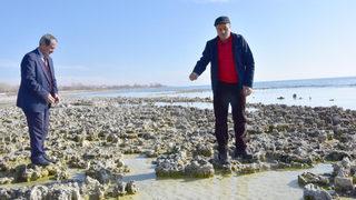 Van Gölü'nde sular çekildi, yeni mikrobiyalitler ortaya çıktı