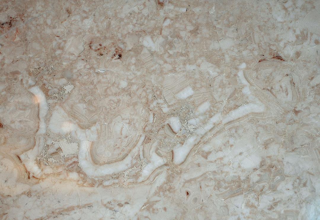 Kalp şeklindeki kabuklu deniz canlılarının sıralanmasıyla oluştu! 195 milyon yıllık mermerde şaşırtan Bismillah yazısı