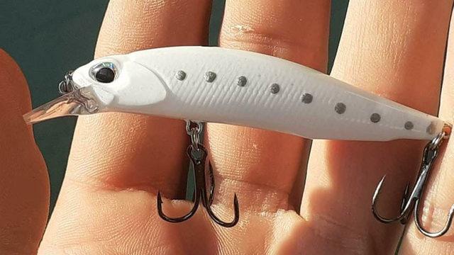Maket balığı gerçek sandı, avlanmaya çalışırken oltaya takıldı