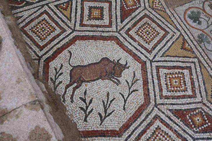 Karadeniz’in Zeugması olarak biliniyor! Hadrianoupolis Antik Kenti mozaiklerle tanıtılmaya hazırlanıyor G4