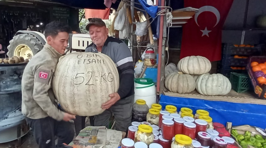 Bu kabak, kilosuyla şaşkına çeviriyor: Tam bir efsane