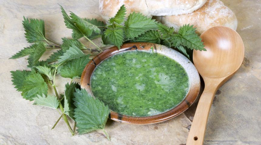 Isırgan otu çorbası nasıl yapılır? İşte ısırgan otu çorbası tarifi ve malzemeleri...