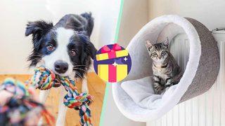 Yılbaşında patili dostlarını da ödüllendirmek isteyenler için en iyi ürün alternatifleri