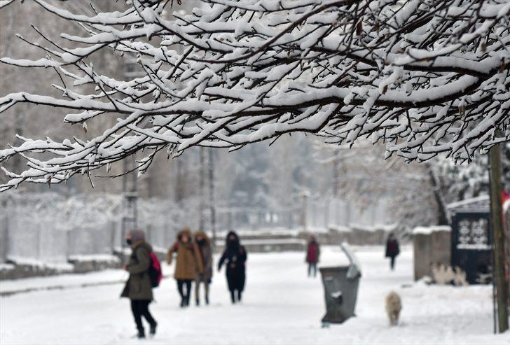 Erzurum, Ardahan, Ağrı ve Kars'ta kar yağışı etkili oldu G3