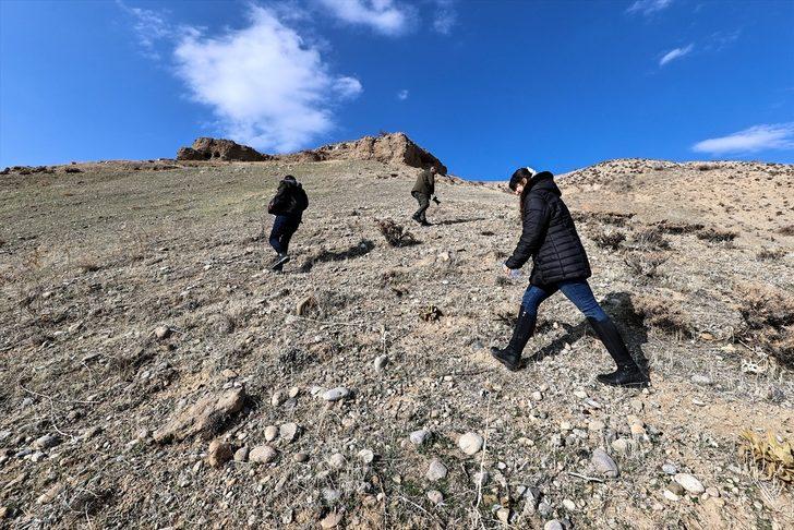 Van'da Orta Çağ'da kullanıldığı tahmin edilen yaşam alanı bulundu G2