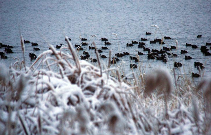 Sivas'ta kar yağışı nedeniyle 40 köy yolu ulaşıma kapandı G1