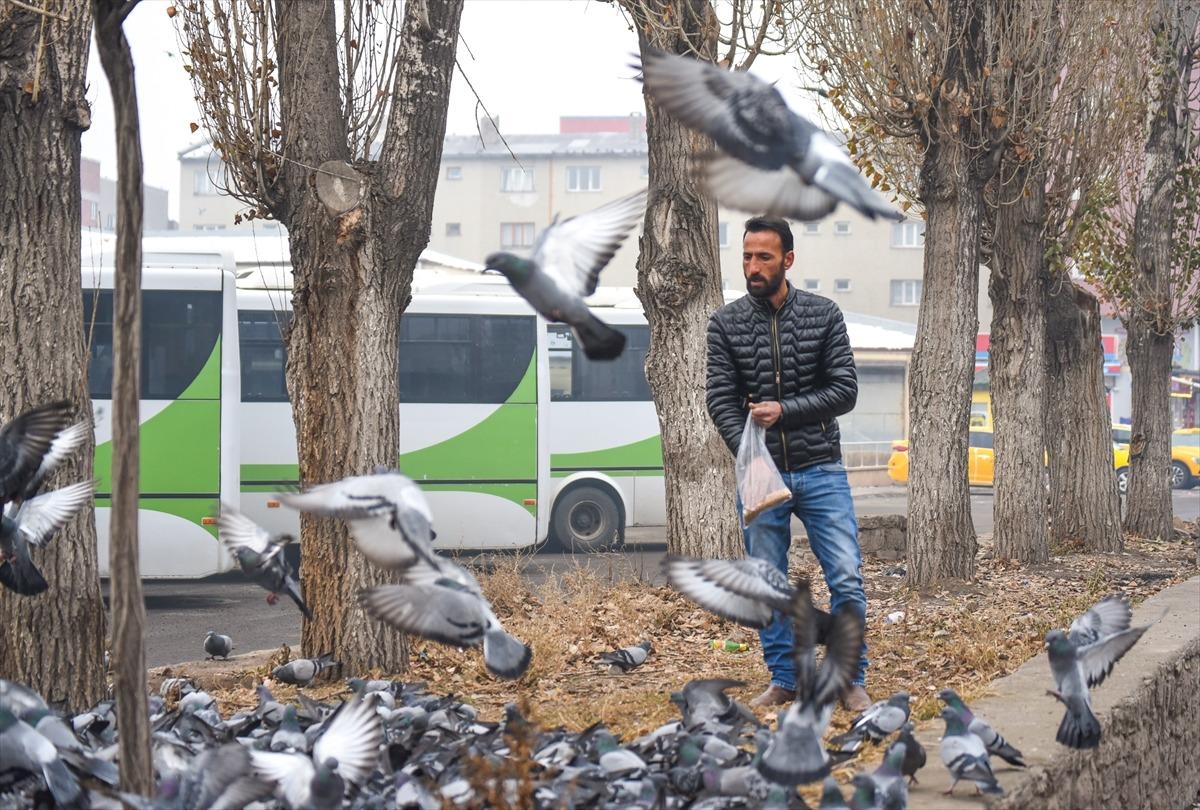 Beyaza b&uuml;r&uuml;nen Kars'ta a&ccedil; kalan g&uuml;vercinler unutulmadı