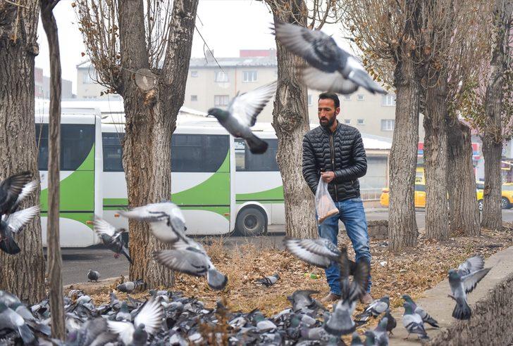 Beyaza bürünen Kars'ta aç kalan güvercinler unutulmadı G1