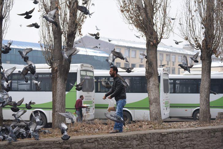 Beyaza bürünen Kars'ta aç kalan güvercinler unutulmadı G2