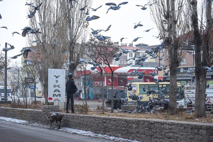 Beyaza bürünen Kars'ta aç kalan güvercinler unutulmadı G3