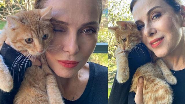 Zuhal Olcay'ın kaçan kedisinden haber var! Çok üzüldüm, çok aradık...