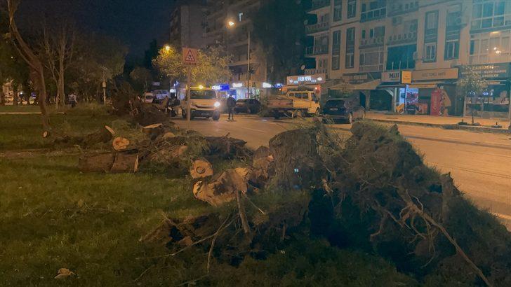 İzmir'de şiddetli rüzgar nedeniyle çok sayıda ağaç devrildi G3