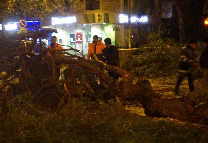 Son Dakika: İzmir'de şiddetli rüzgar! Ağaçlar yerinden söküldü, trafikte aksamalar yaşandı